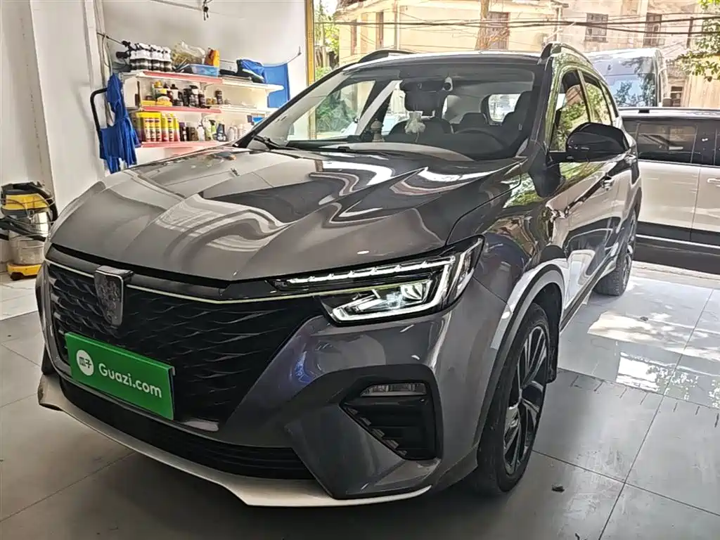 Купить Roewe RX5