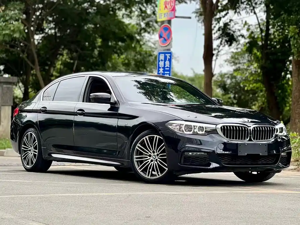 BMW 5 Series — миниатюра 5