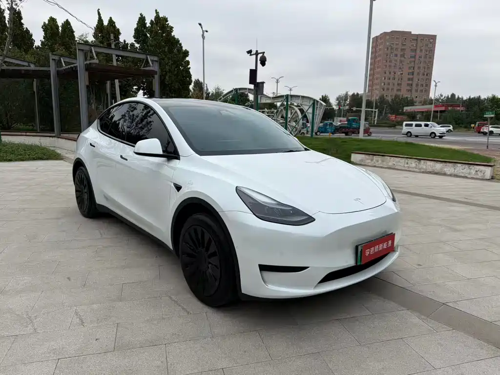 Tesla Model Y — миниатюра 4