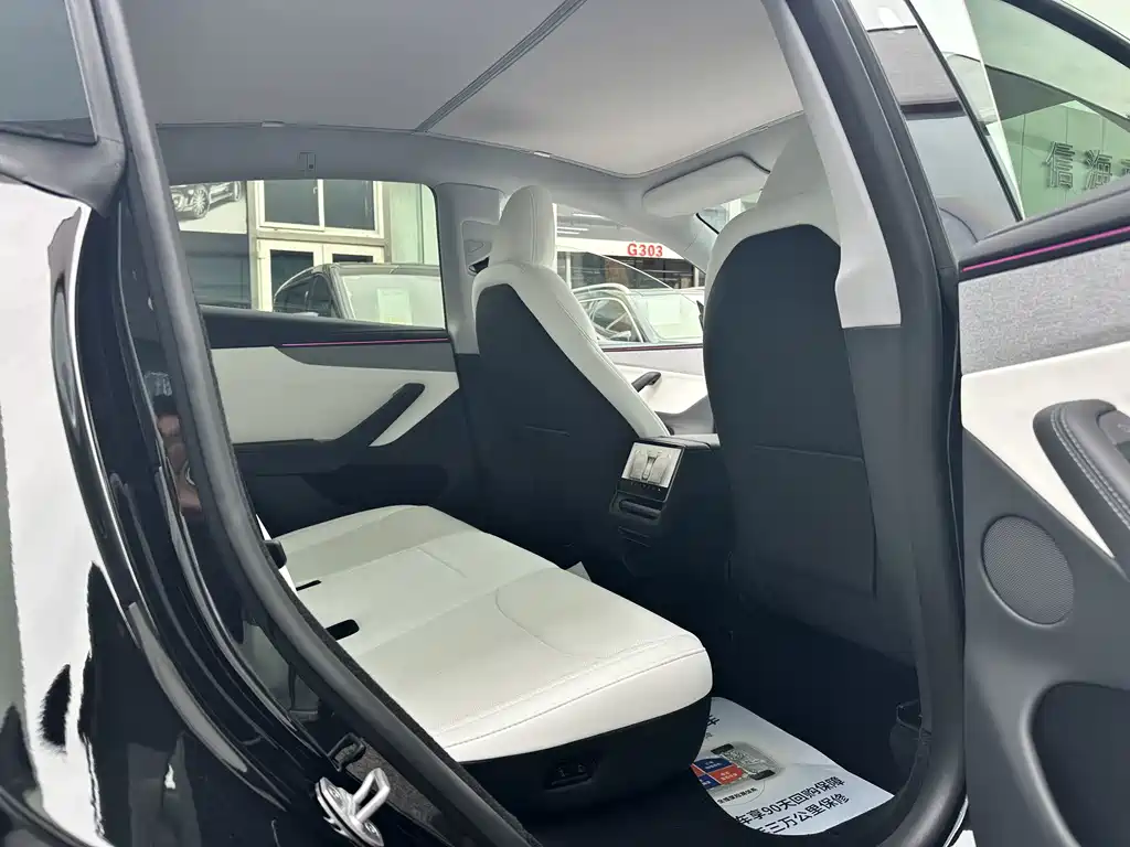 Tesla Model Y — миниатюра 7