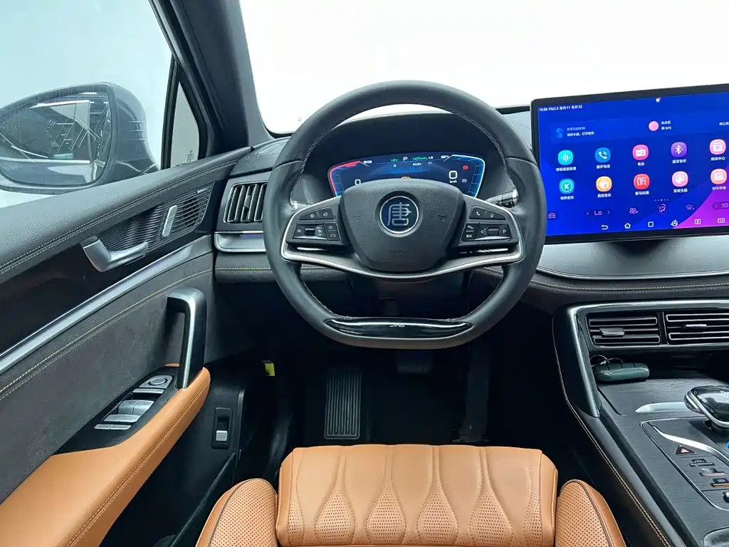 BYD Tang New Energy — миниатюра 22