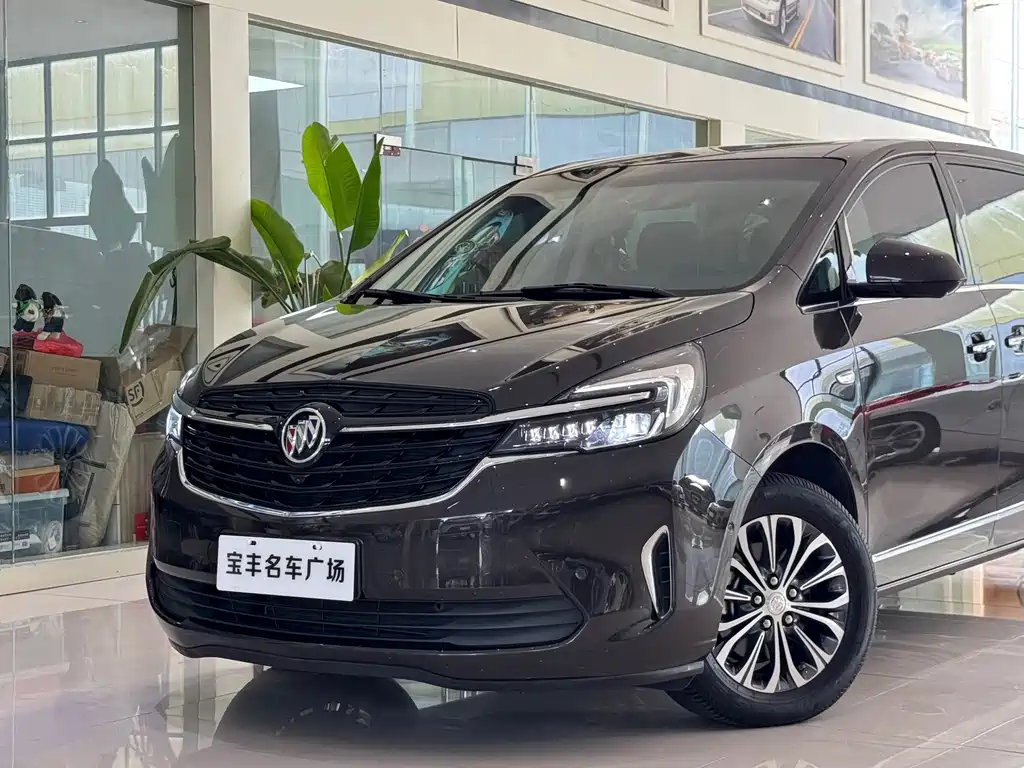 Buick GL8 — миниатюра 15