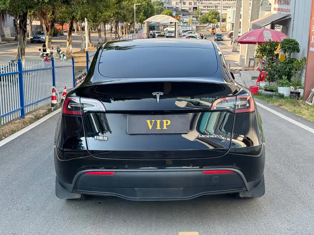 Tesla Model Y — миниатюра 5