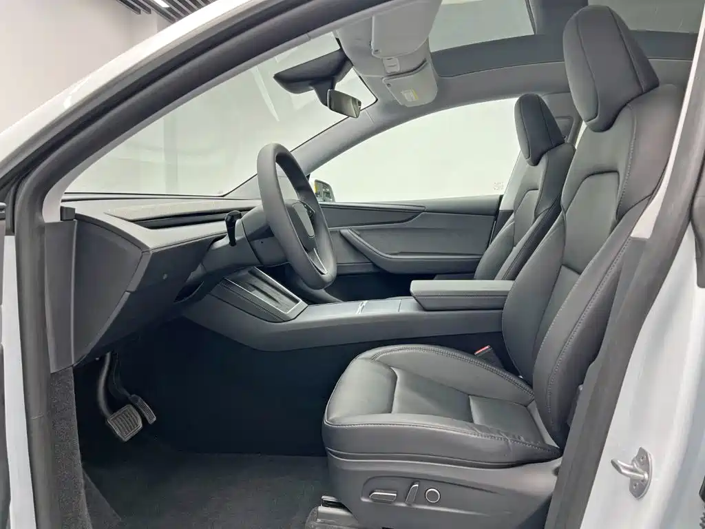 Tesla Model Y — миниатюра 16