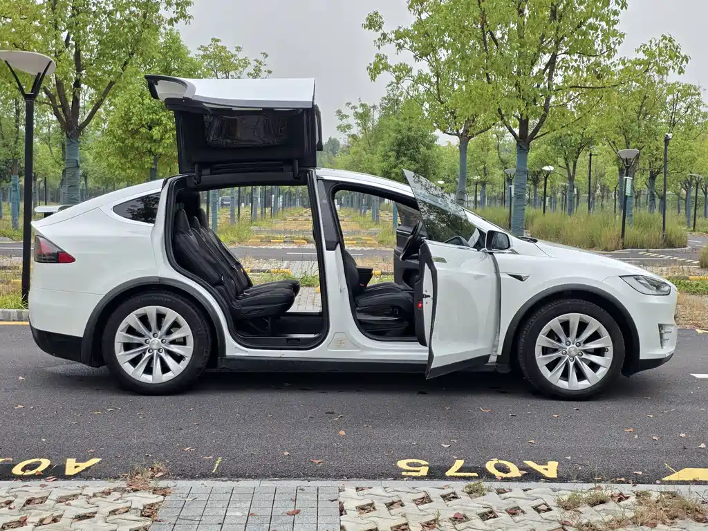 Tesla Model X — миниатюра 23