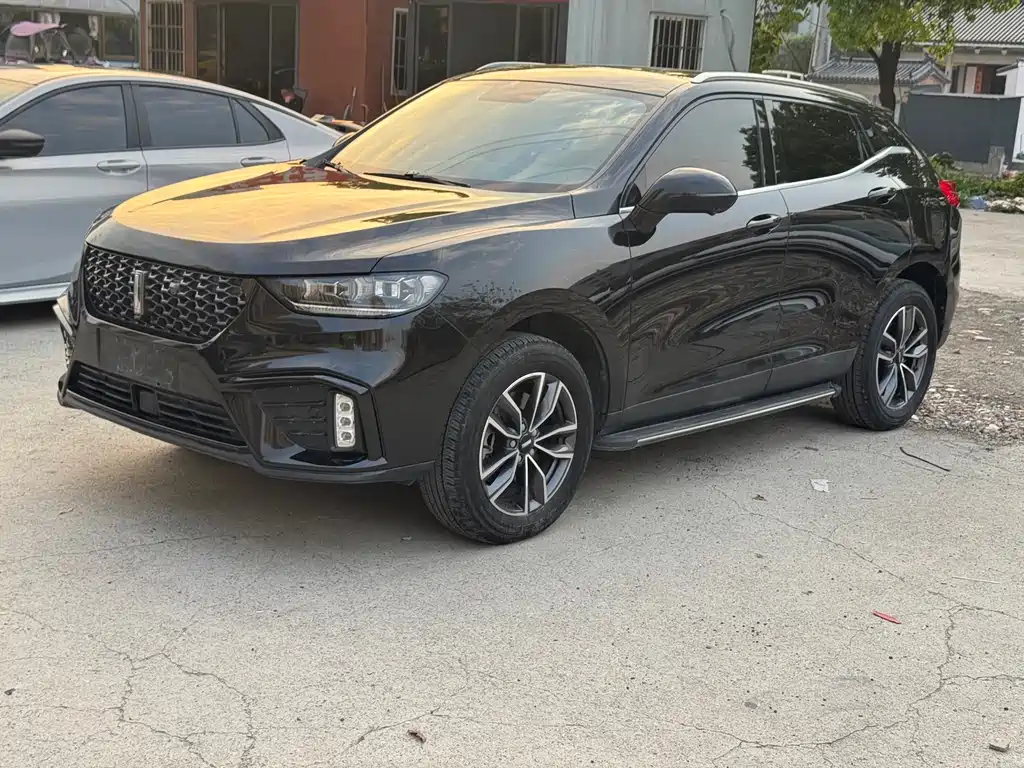 Wey Wey VV5 2020