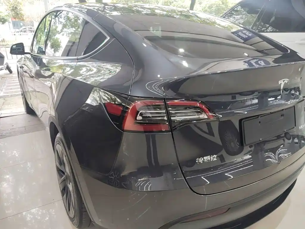 Tesla Model Y — миниатюра 5