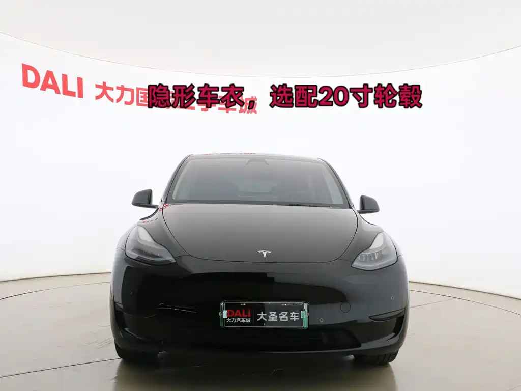 Tesla Model Y — миниатюра 2