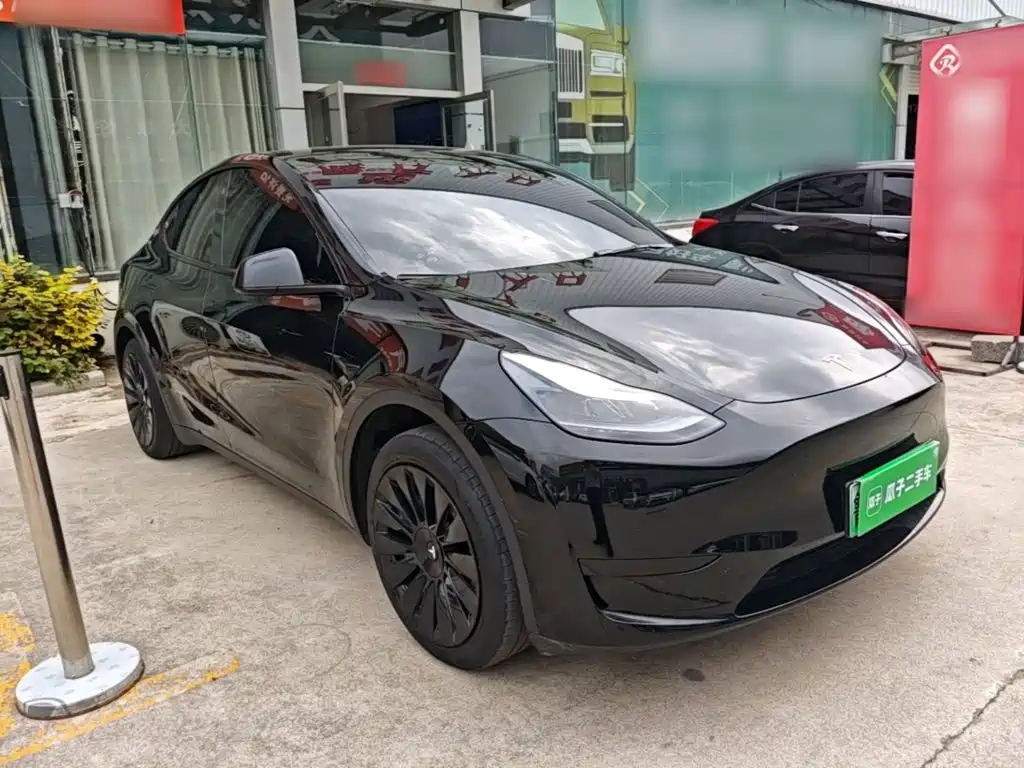 Tesla Model Y — миниатюра 4