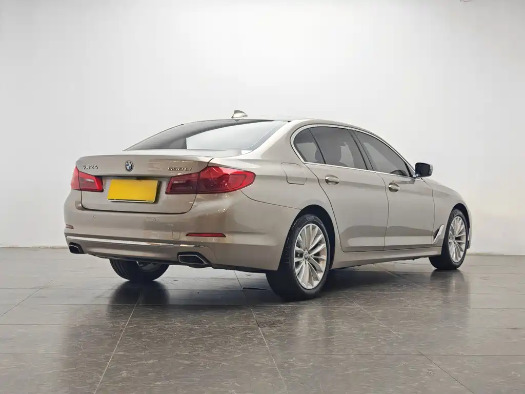 BMW 5 Series 5 2020 530Li Lead Luxury