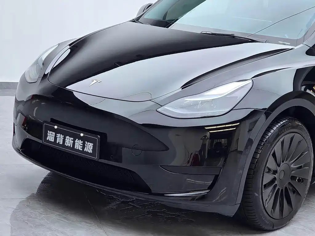 Tesla Model Y — миниатюра 3