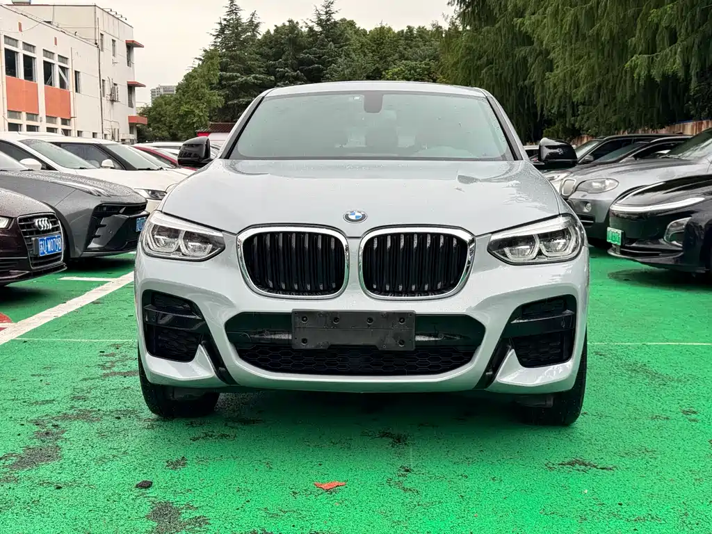 BMW X4 — миниатюра 2