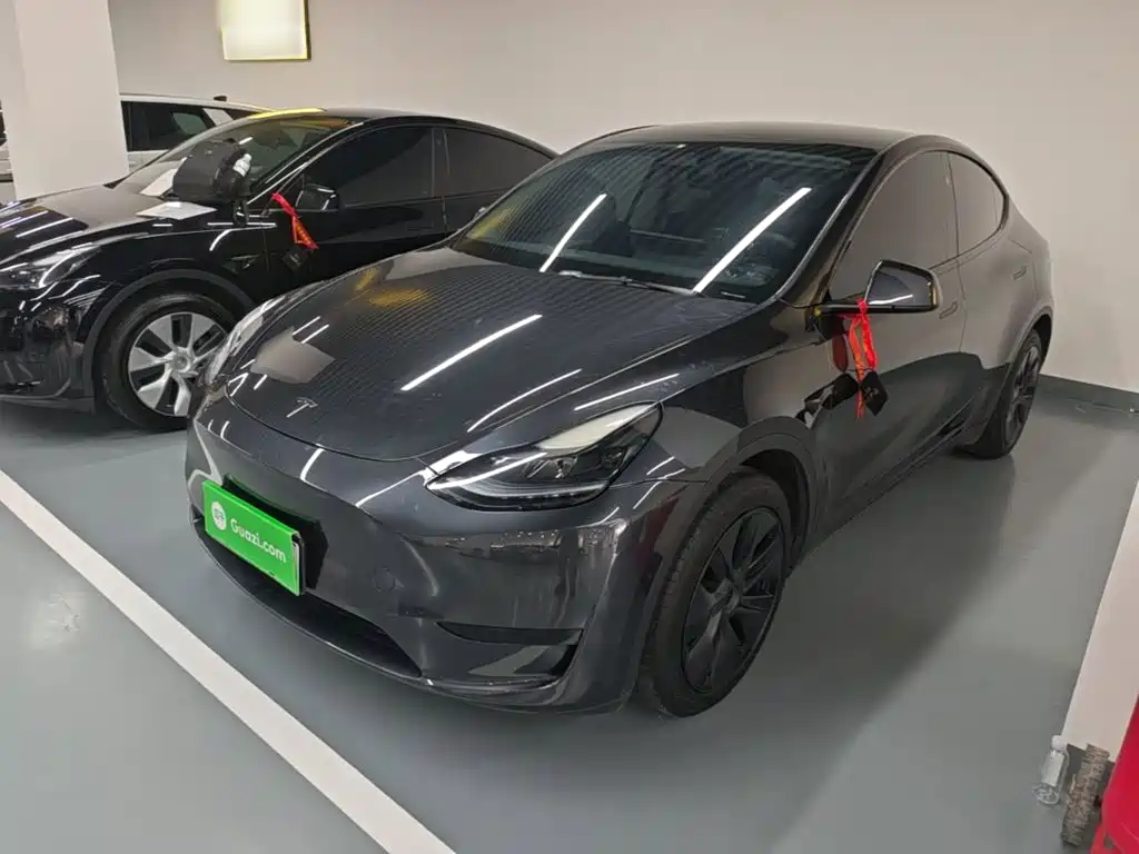 Tesla Model Y — миниатюра 2