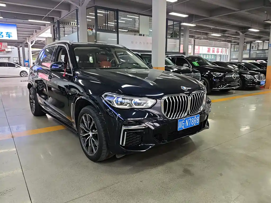 BMW X5 2022 xDrive 30Li Premium M Sport