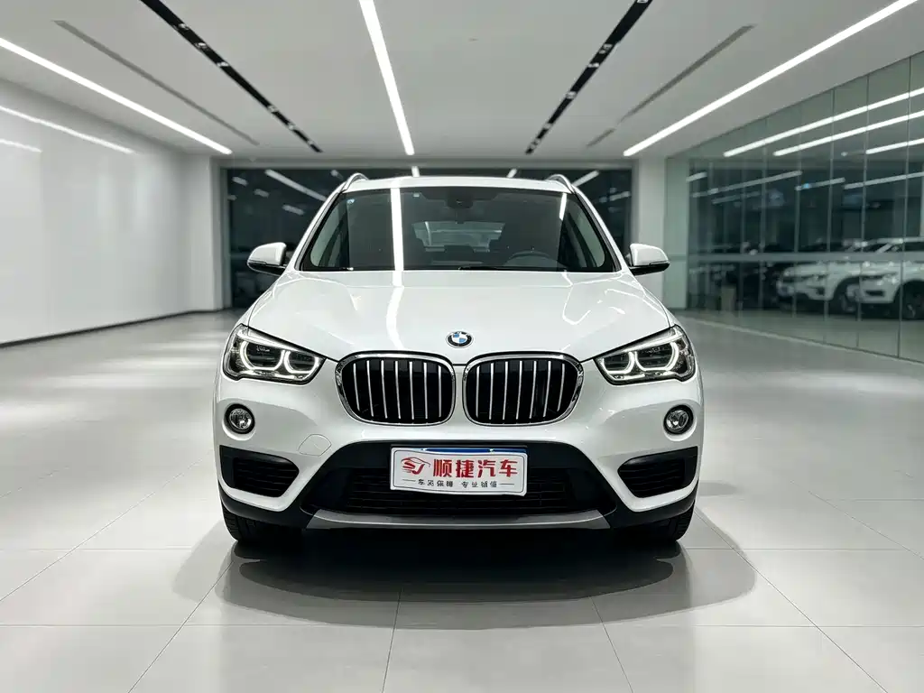 BMW X1 — миниатюра 2
