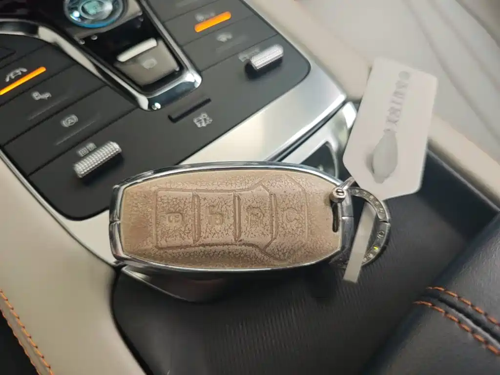 BYD PLUS New Energy — миниатюра 9