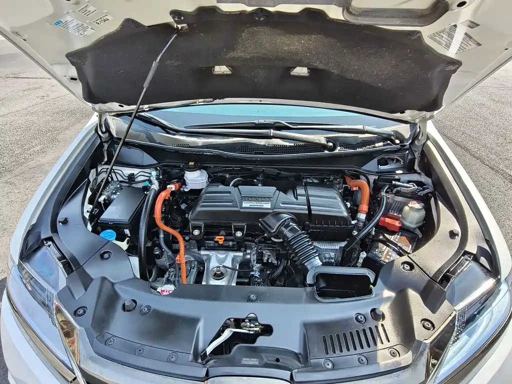 Honda Elysion — миниатюра 9