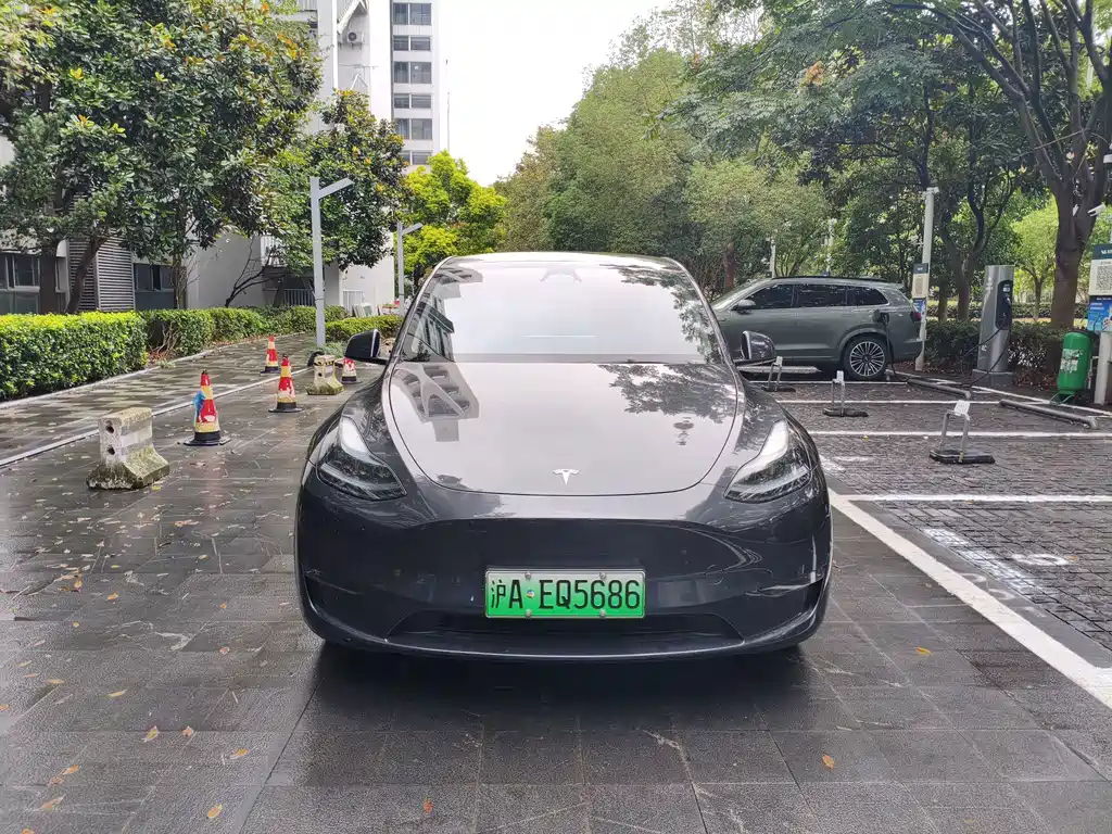 Tesla Model Y — миниатюра 2