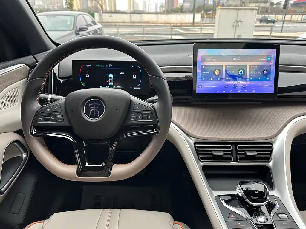 BYD SONGJIANG NEW ENERGY