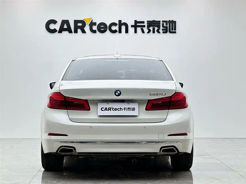 BMW 5 Series 5 2020 530Li Premium Luxury