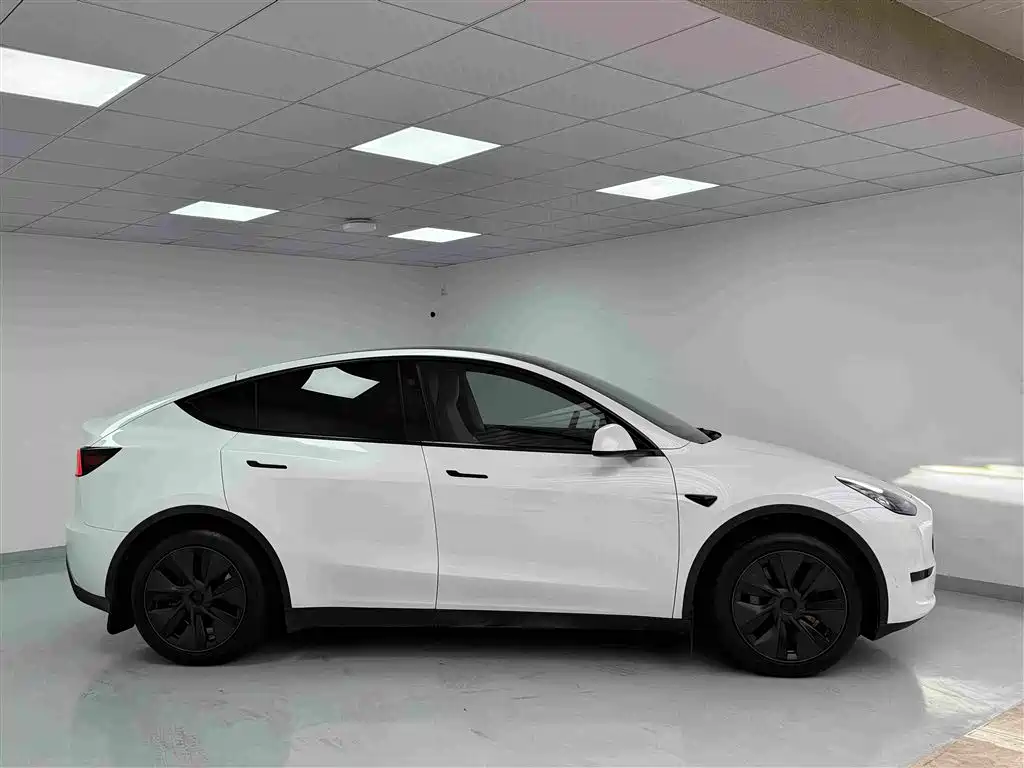 Tesla Model Y — миниатюра 3