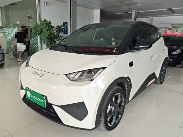 2025 BYD Seagull