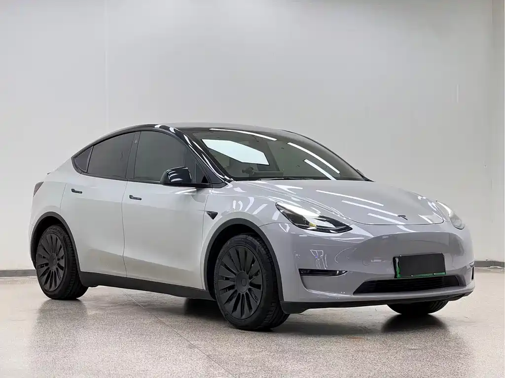 Tesla Model Y — миниатюра 3