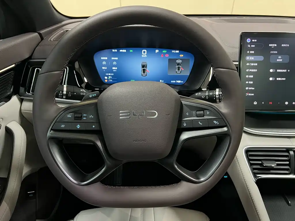 BYD SONGJIANG NEW ENERGY