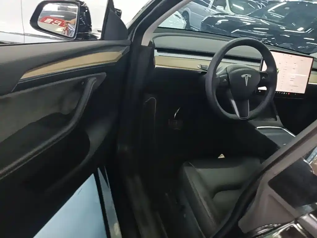 Tesla Model Y — миниатюра 16
