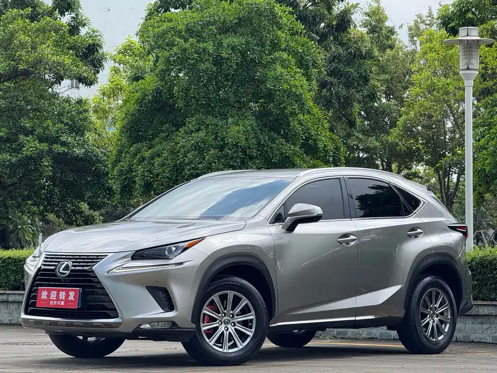 Lexus NX 2020 200 VI