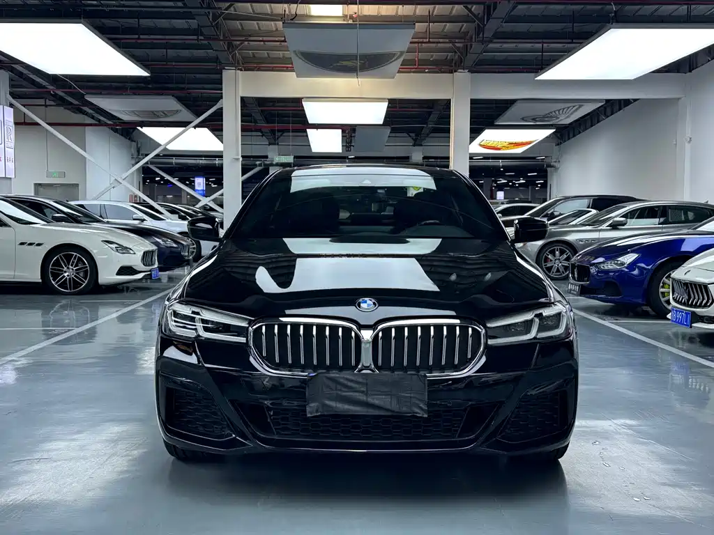 BMW 5 Series — миниатюра 2