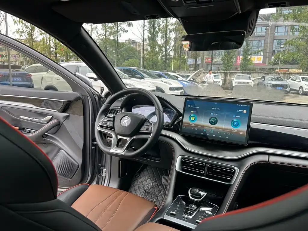 BYD PLUS — миниатюра 7