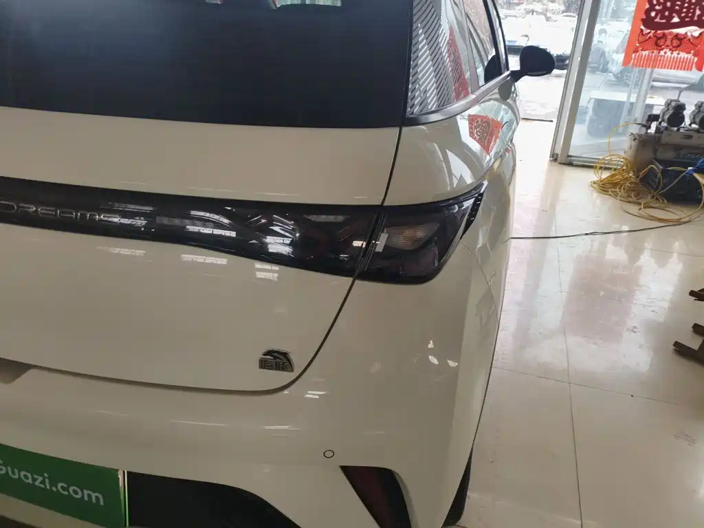 BYD Dolphin 2024 302km