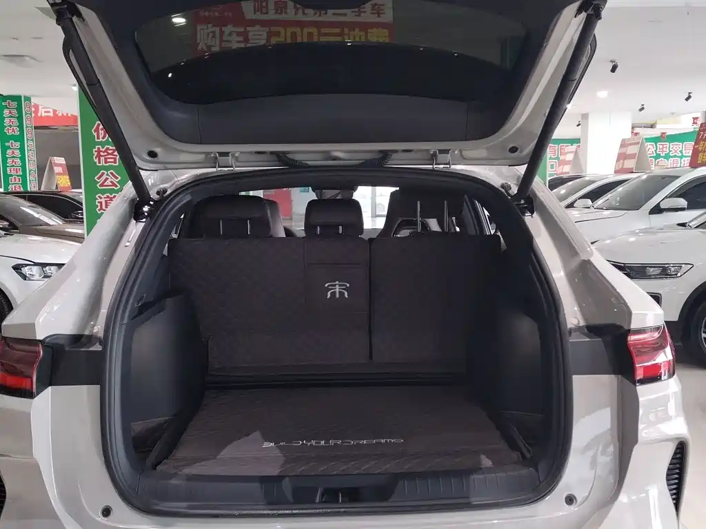 BYD SONGJIANG NEW ENERGY