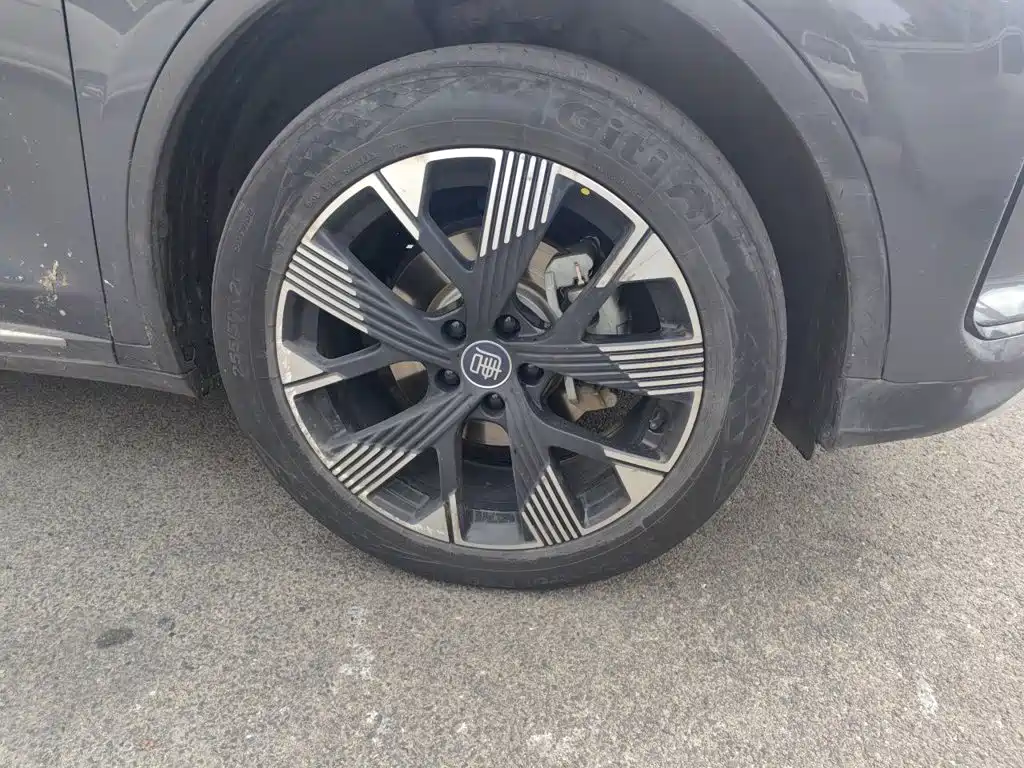 BYD Tang New Energy — миниатюра 25