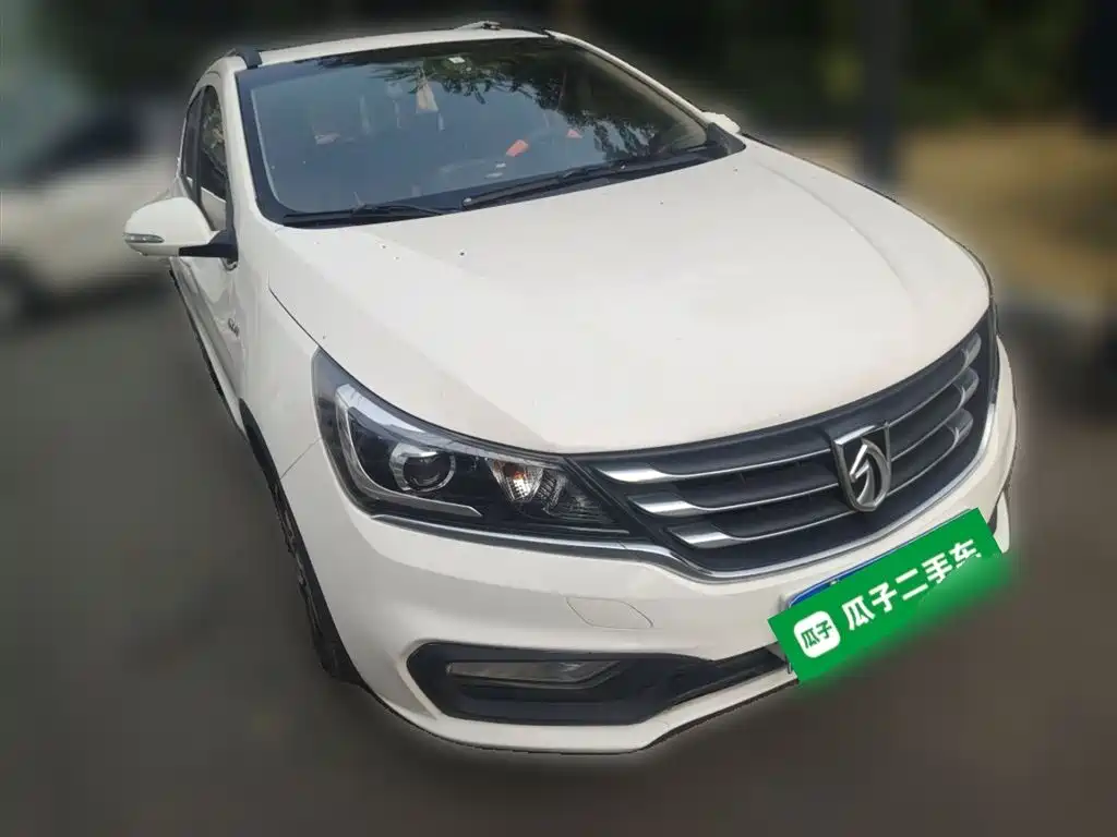 BAOJUN 310