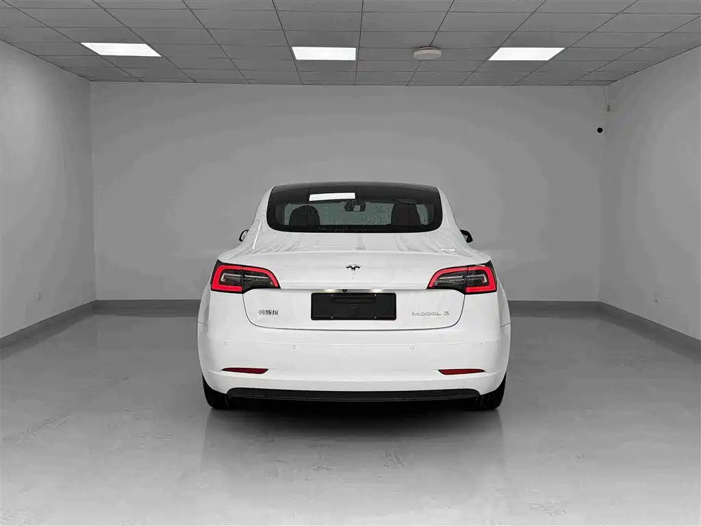 Tesla Model 3 — миниатюра 19
