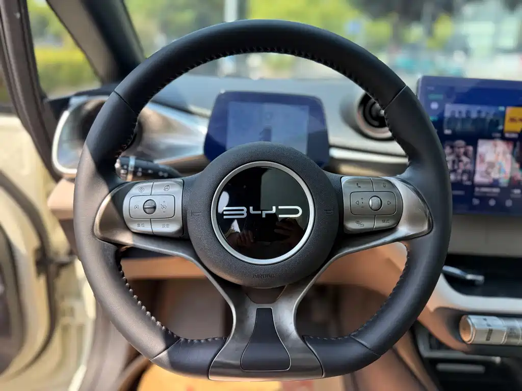 BYD Dolphin — миниатюра 11
