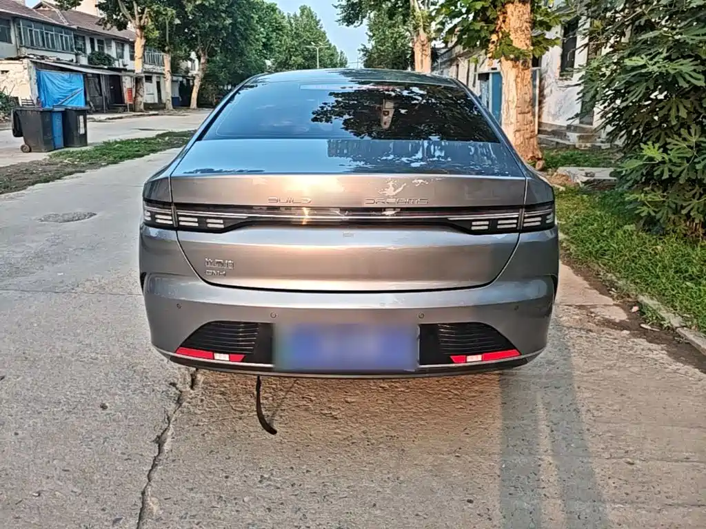 BYD Destroyer 05 2024 DM-i 55KM Luxury