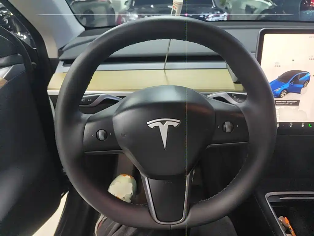 Tesla Model Y — миниатюра 11