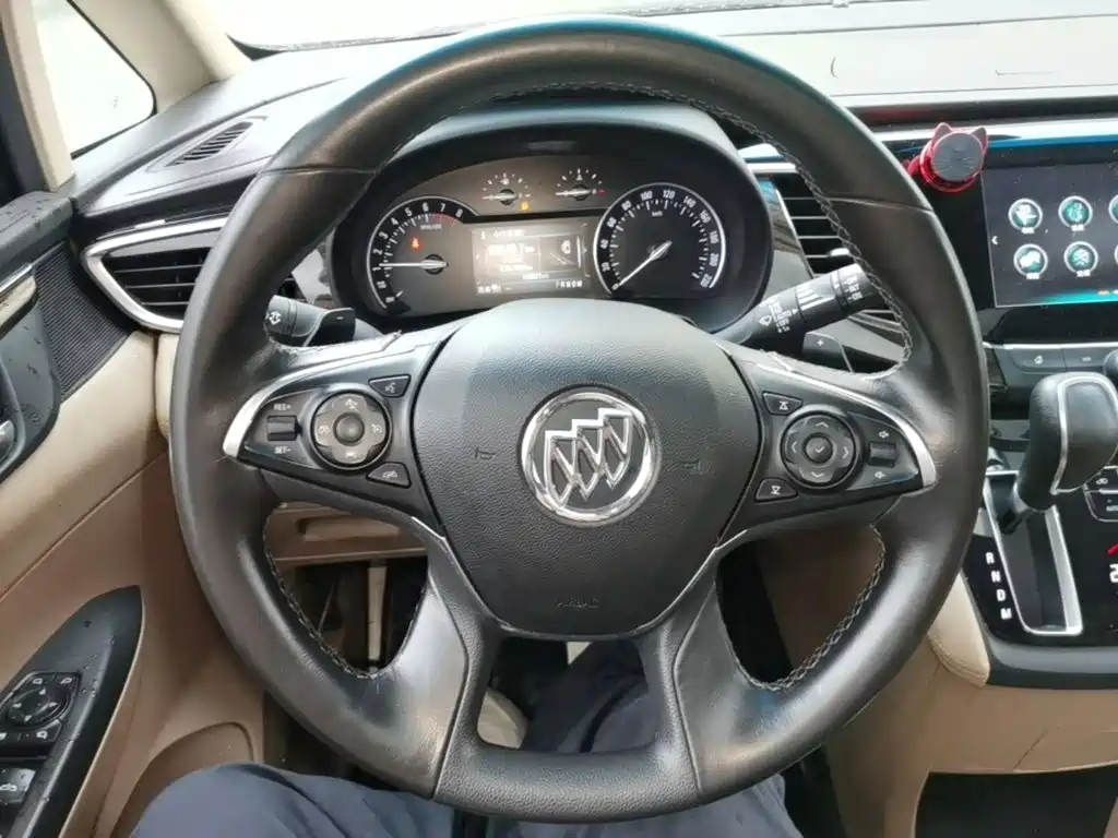 Buick GL8 — миниатюра 11