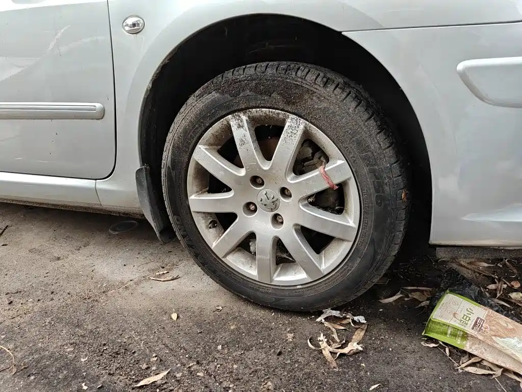 Peugeot 307 — миниатюра 24