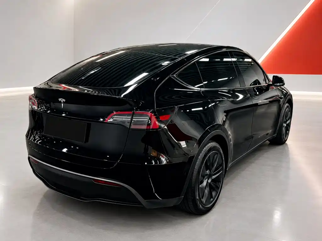 Tesla Model Y — миниатюра 6