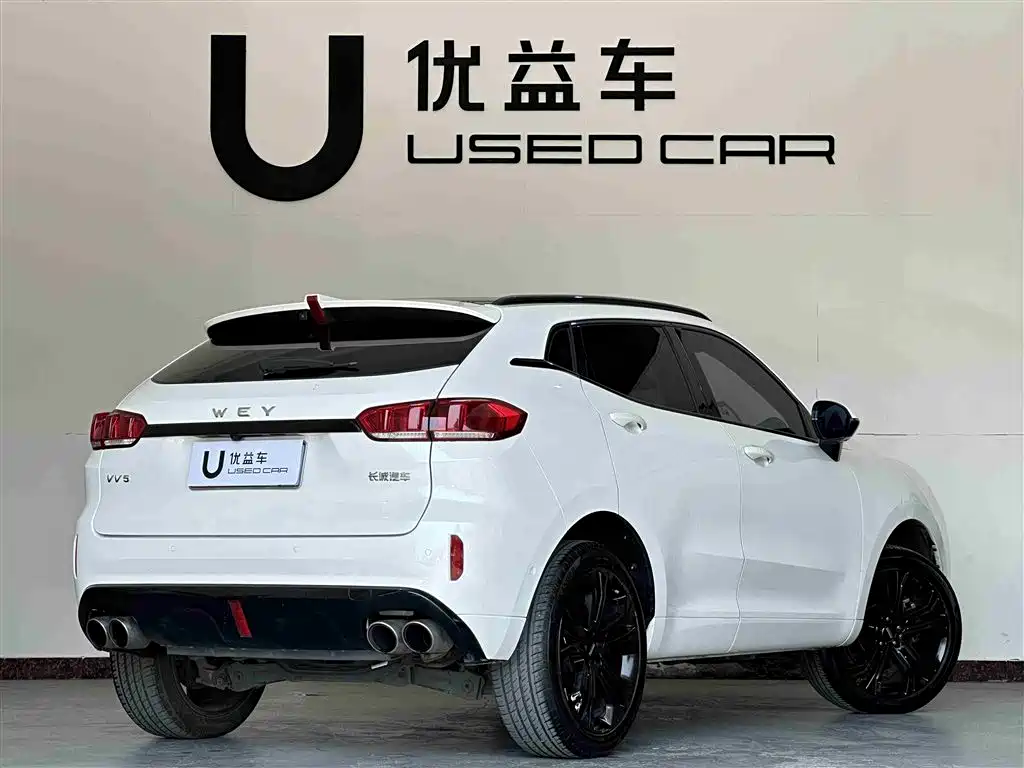 WEI PAI WEI BRAND VV5