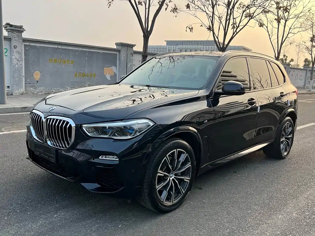 BMW X5 (Import) 2019