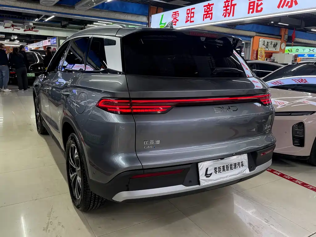 BYD Pro New Energy — миниатюра 4