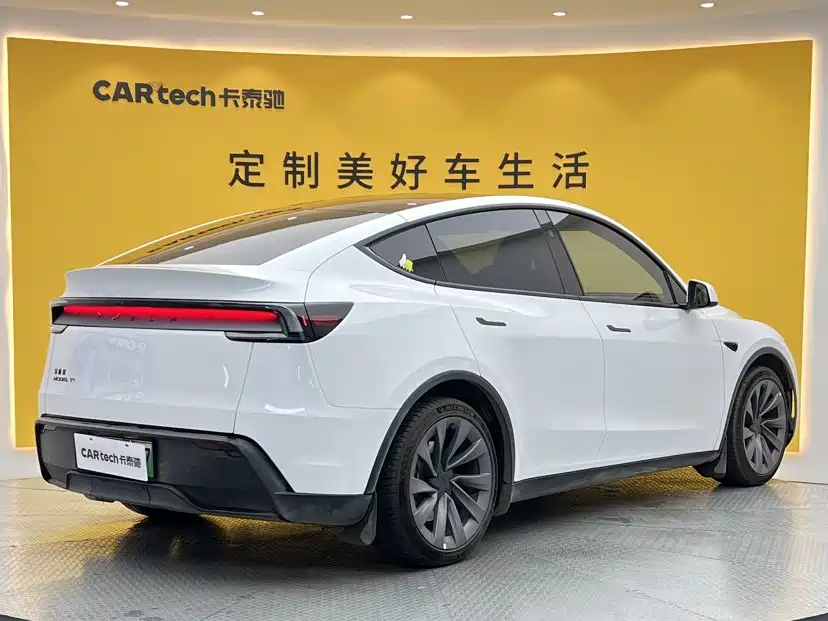 Tesla Model Y — миниатюра 4