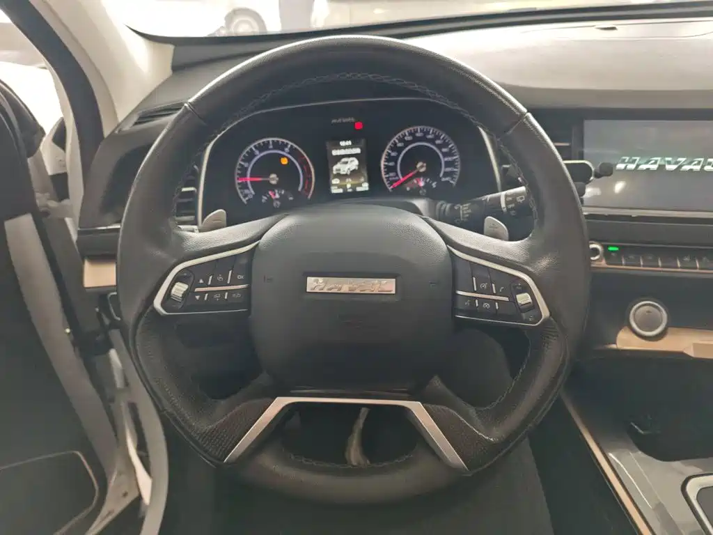 Haval H6 — миниатюра 11