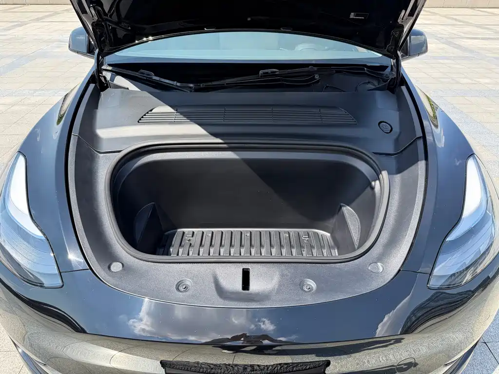 Tesla Model Y — миниатюра 23