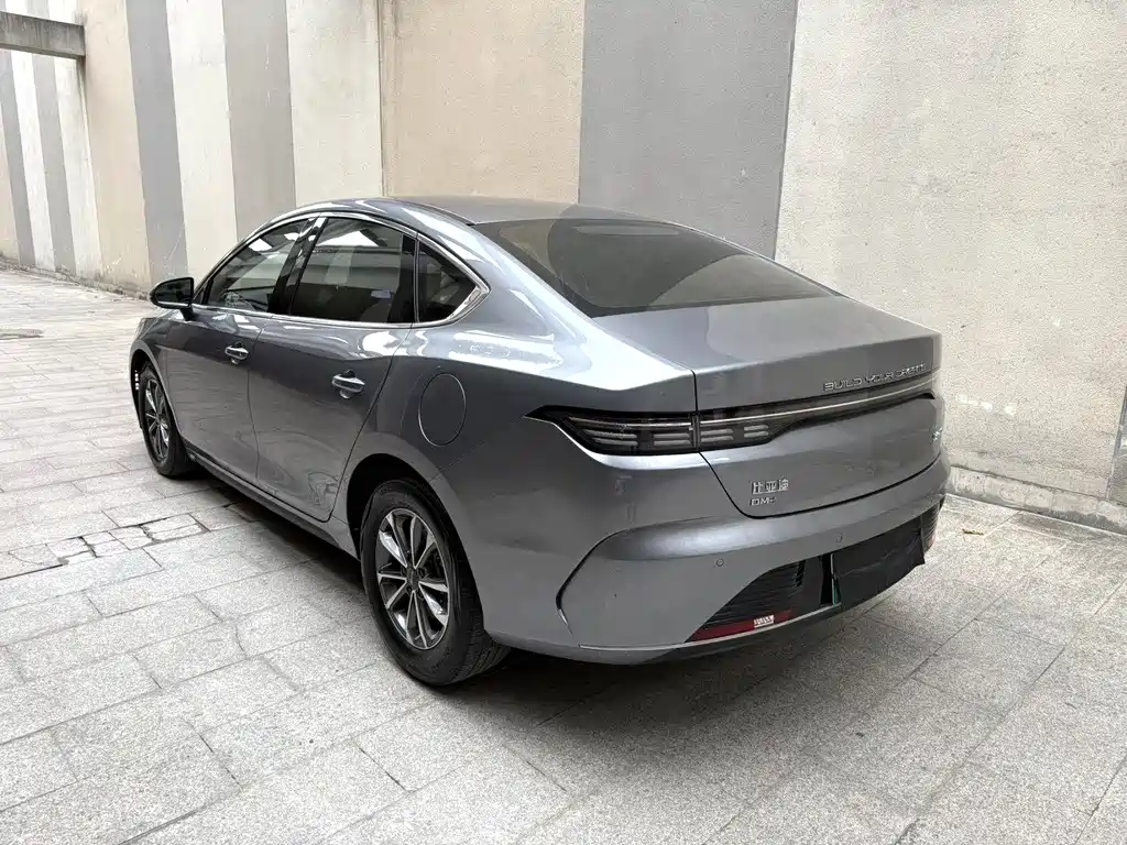 BYD Destroyer 05 2024 DM-i 55KM Luxury